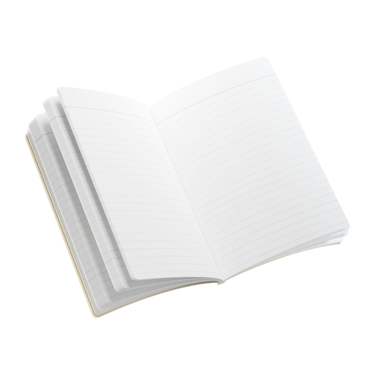Follow My Leader | Journal