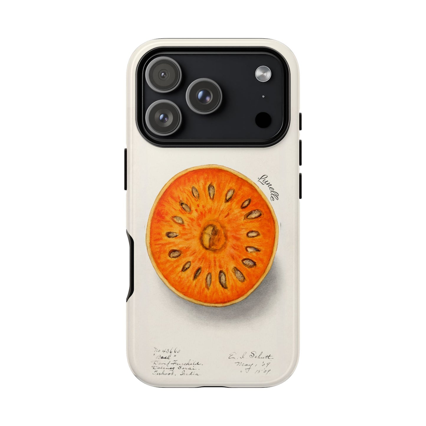 Bael Botanical | Phone Case