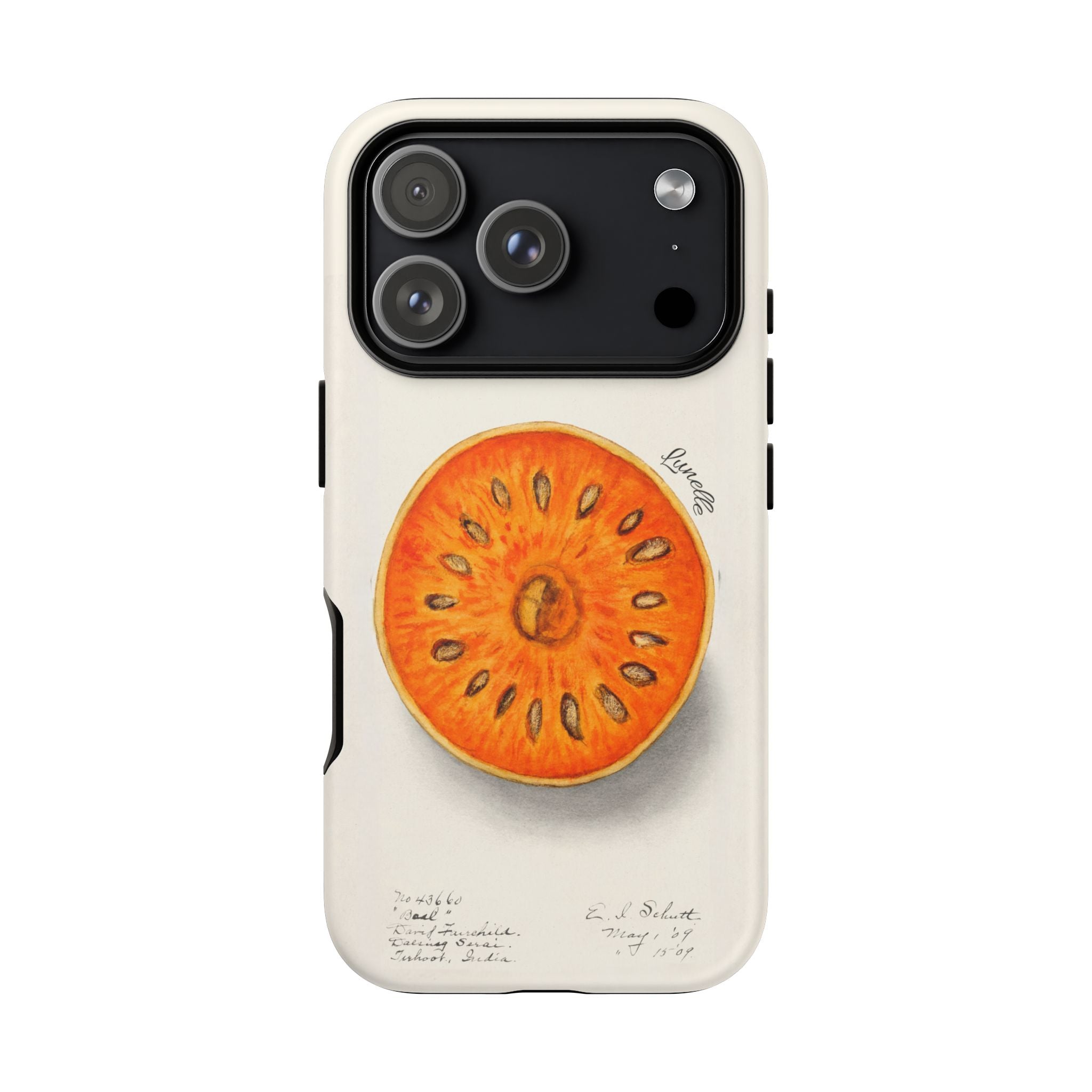 Vintage Botanical Orange Slice Tough Phone Case