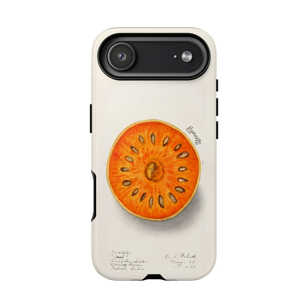 Bael Botanical | Phone Case
