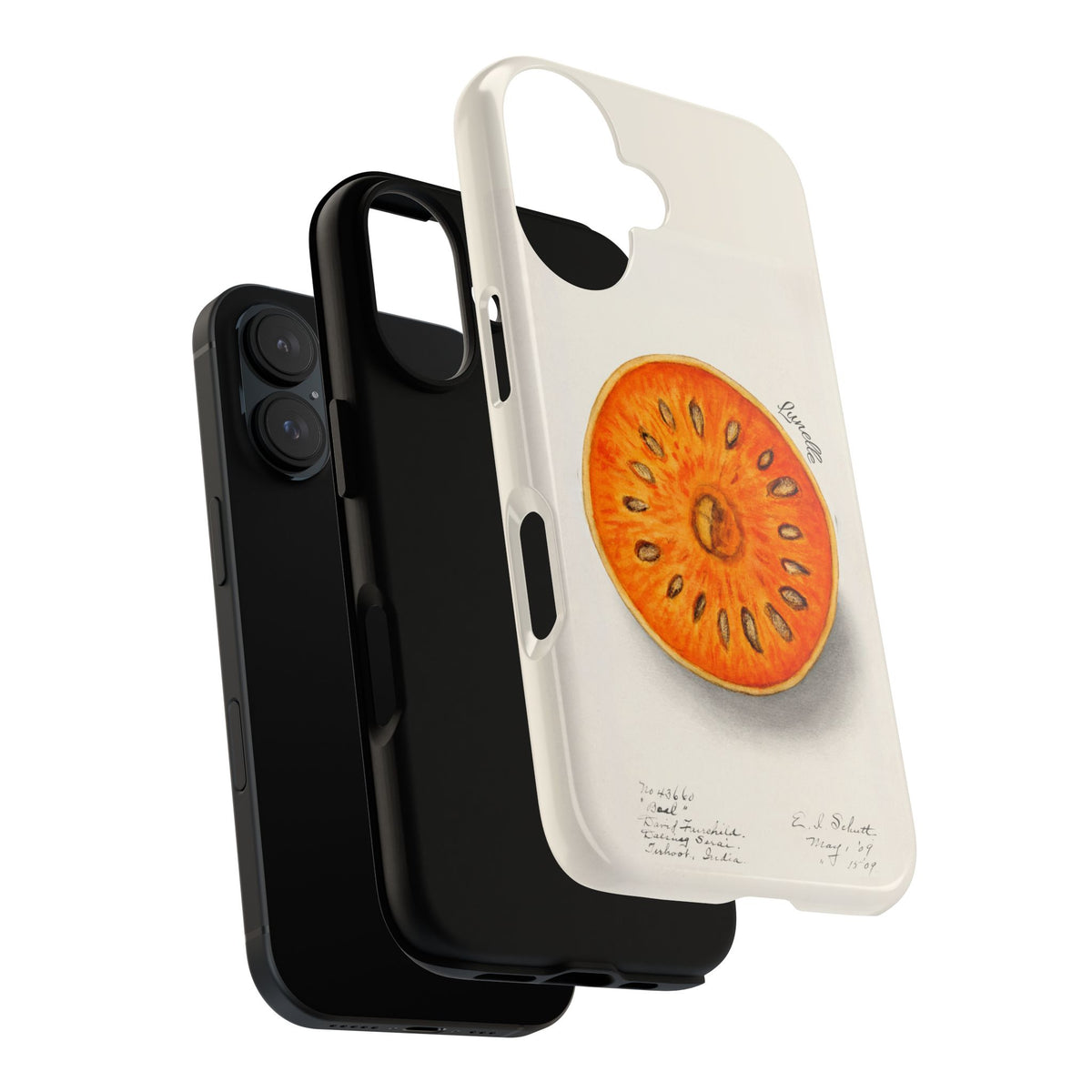 Bael Botanical | Phone Case