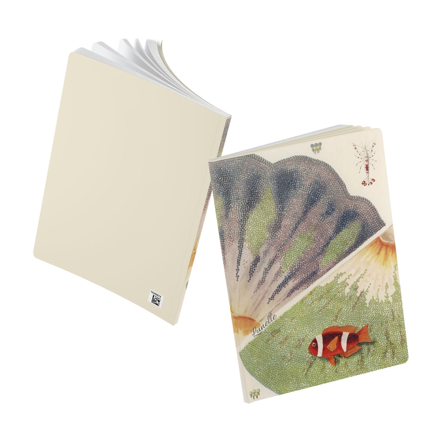 Treasures of the Tide | Journal