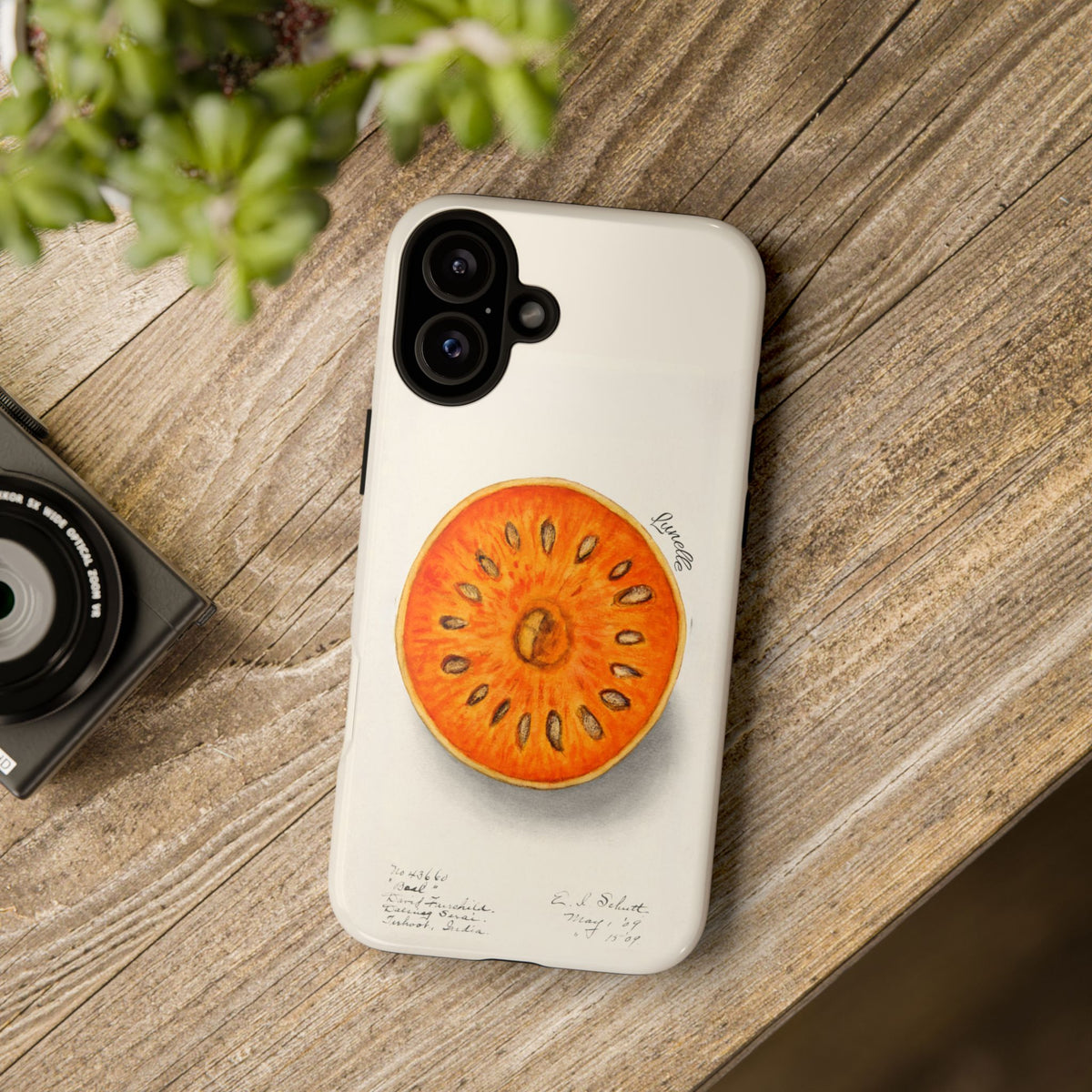 Bael Botanical | Phone Case