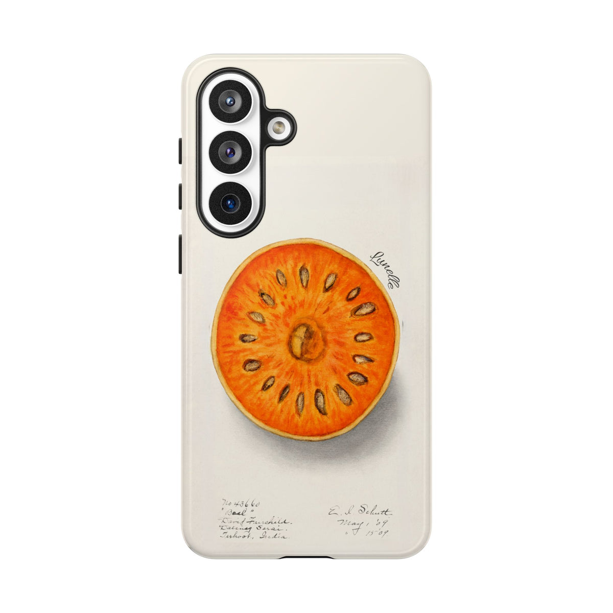 Bael Botanical | Phone Case