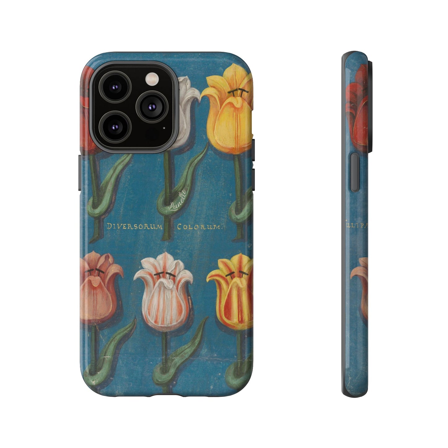 Tulips of Many Colors | Tough Phone Case