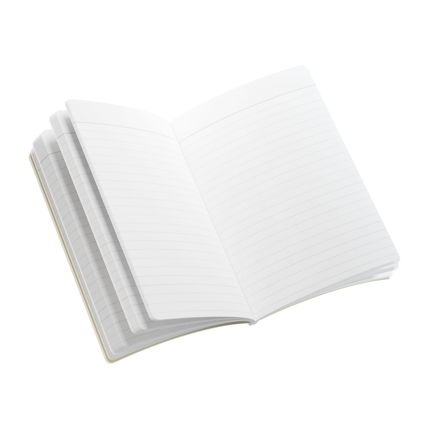 Treasures of the Tide | Journal