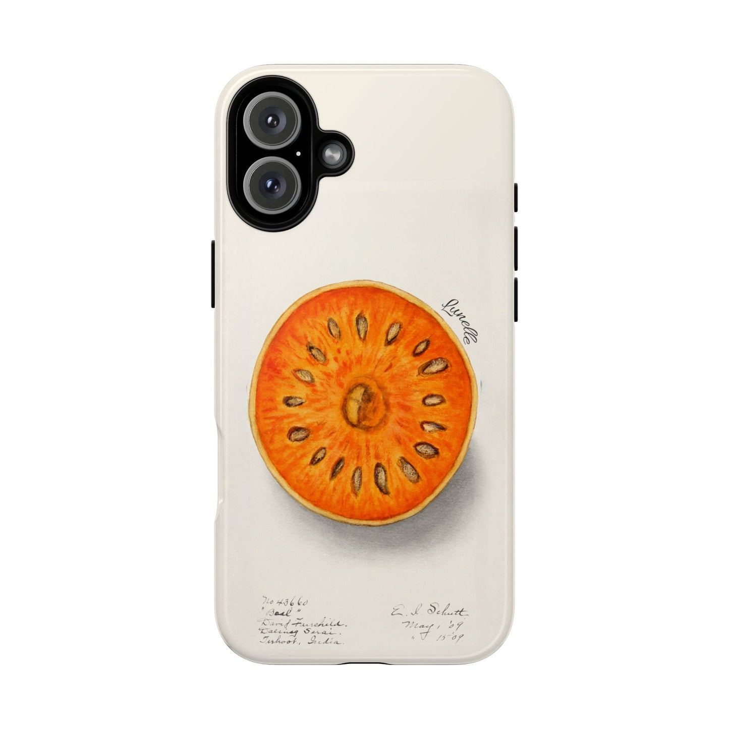 Bael Botanical | Phone Case