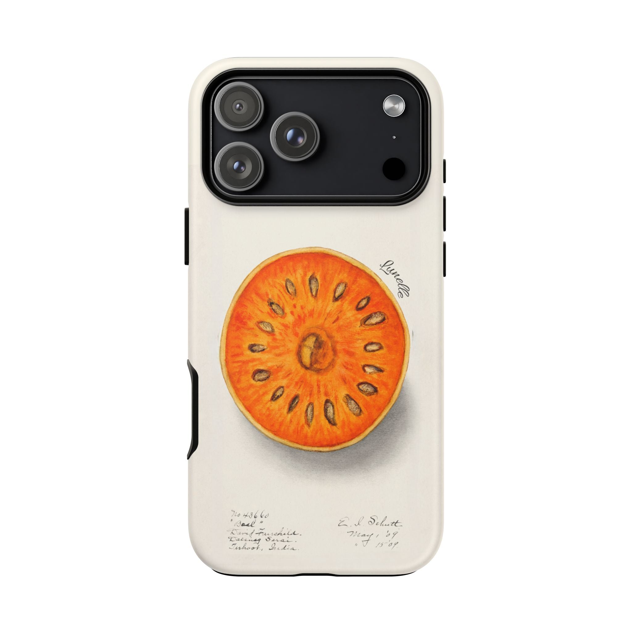 Vintage Botanical Orange Slice Tough Phone Case