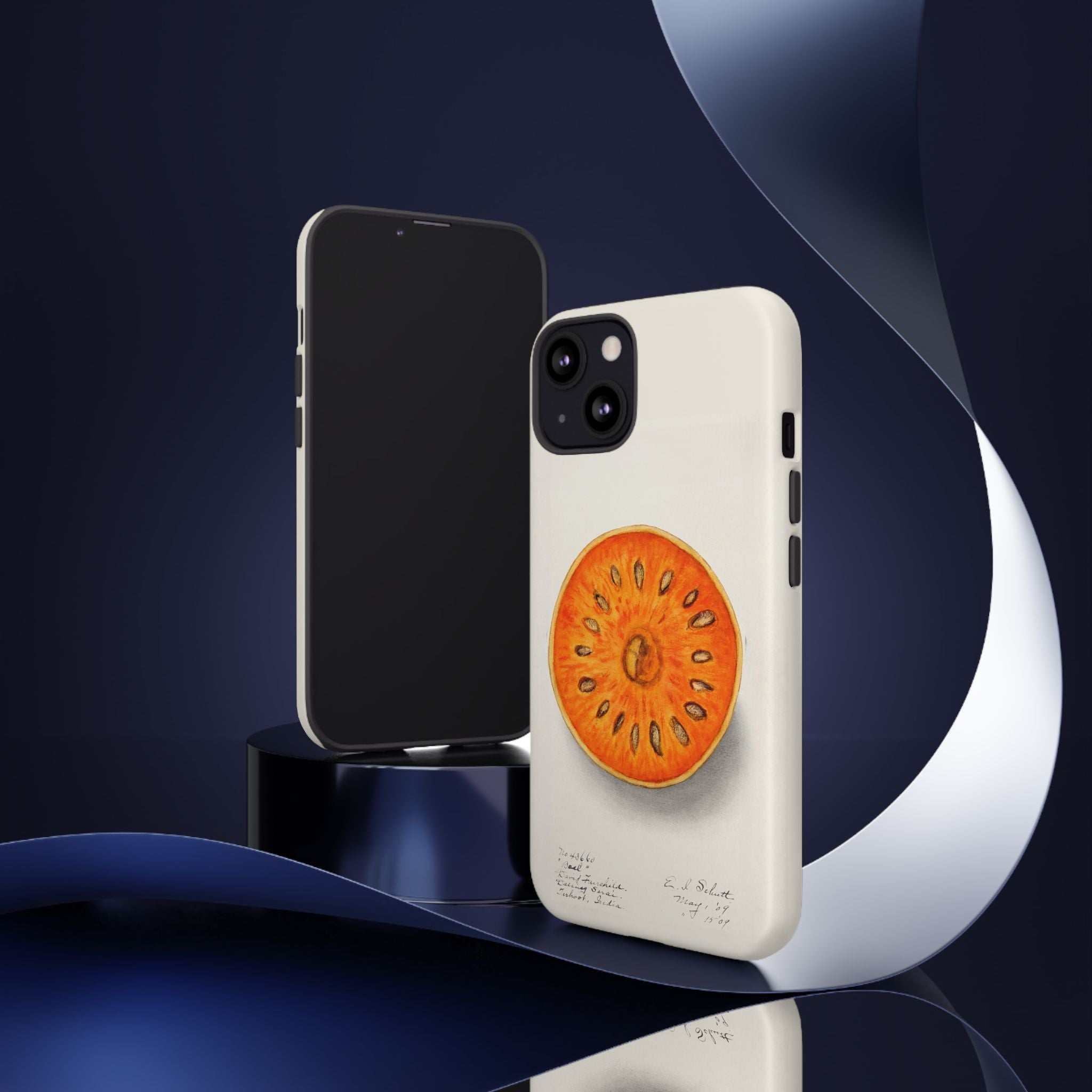 Vintage Botanical Orange Slice Tough Phone Case