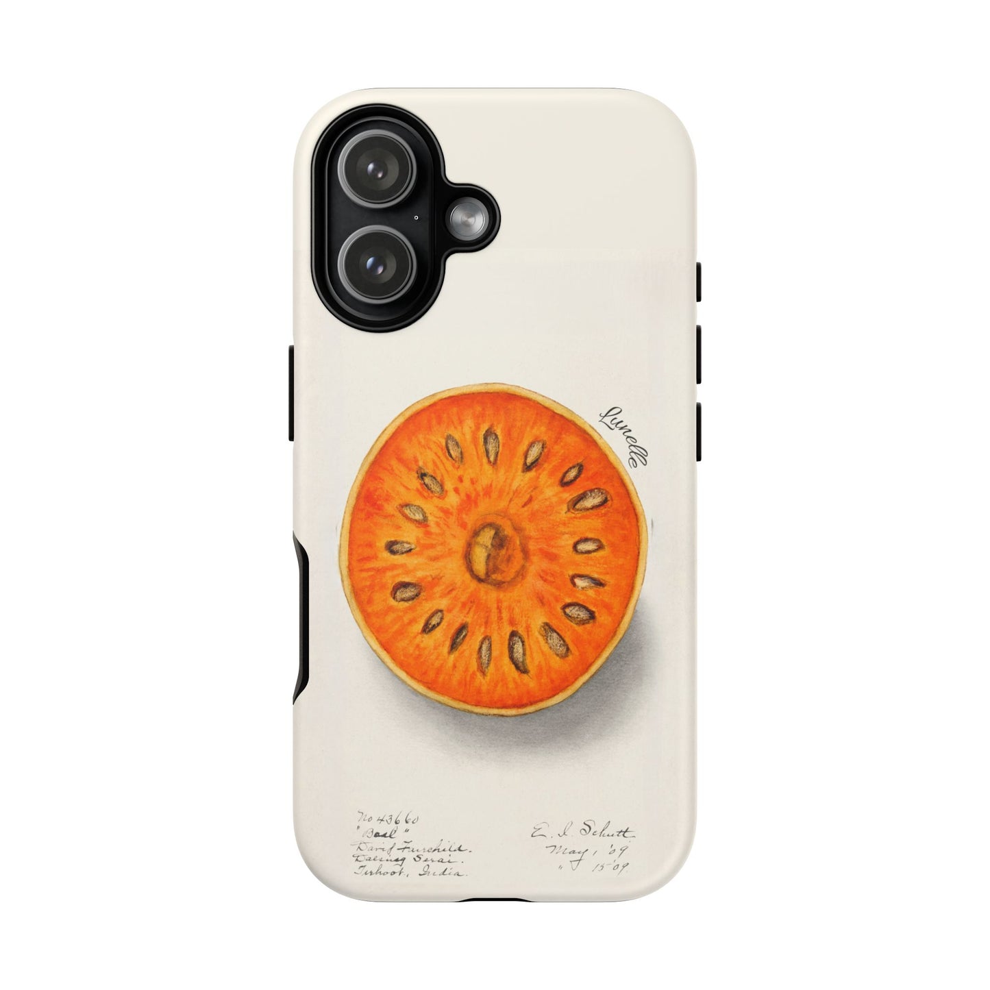 Bael Botanical | Phone Case