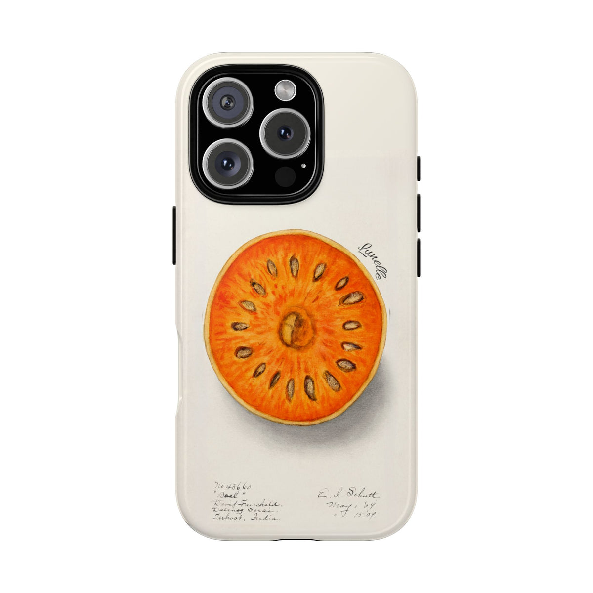 Bael Botanical | Phone Case