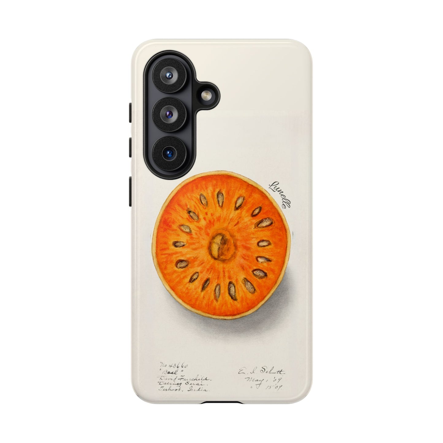 Bael Botanical | Phone Case