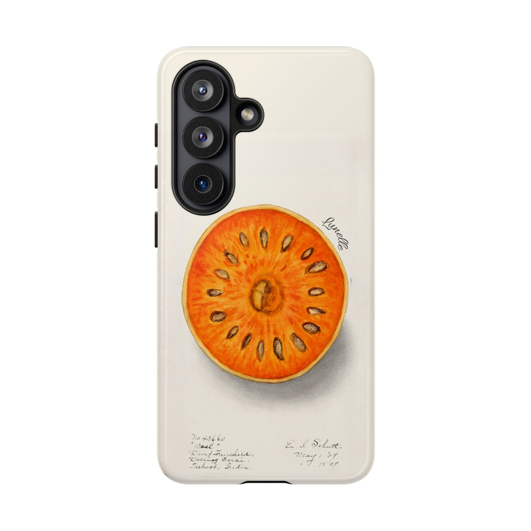 Vintage Botanical Orange Slice Tough Phone Case