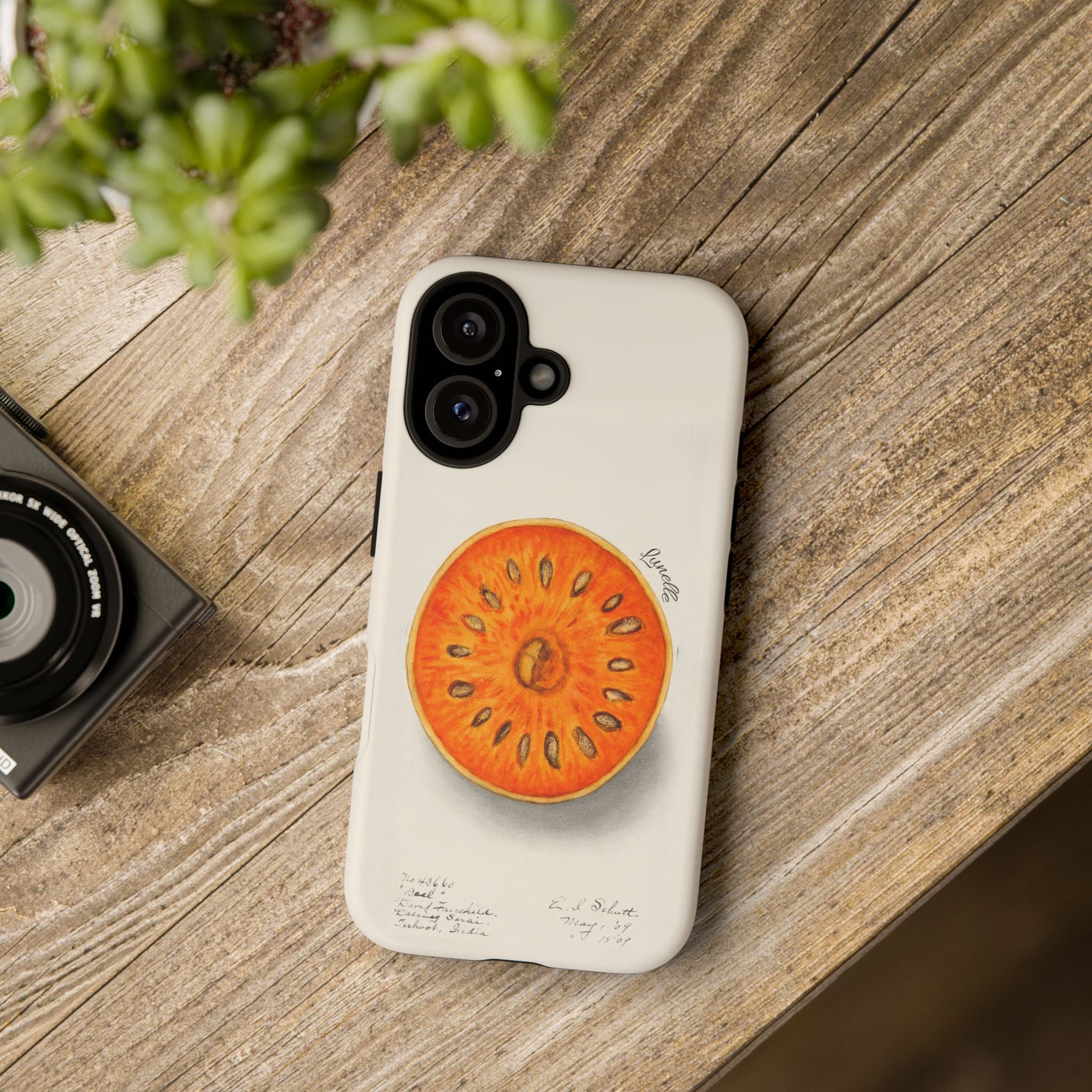 Vintage Botanical Orange Slice Tough Phone Case