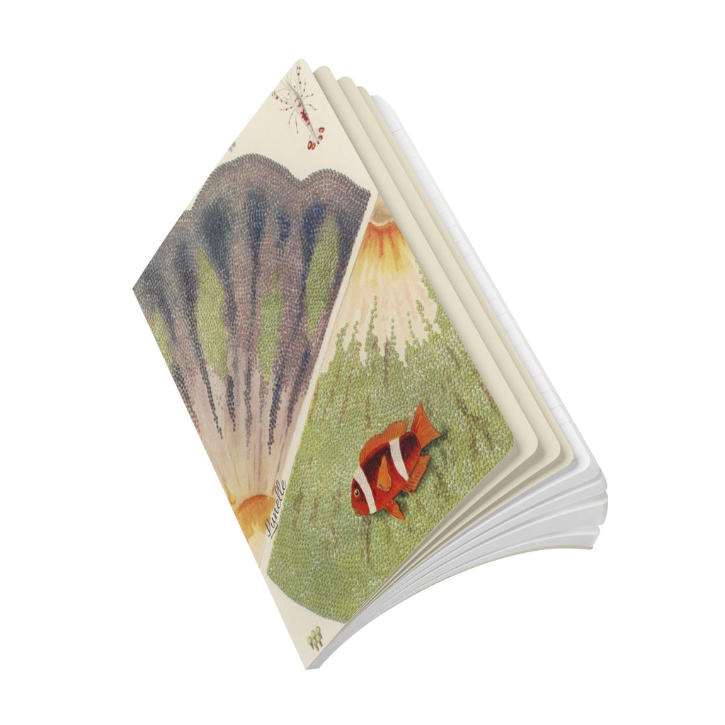 Ocean Shells Softcover Journal
