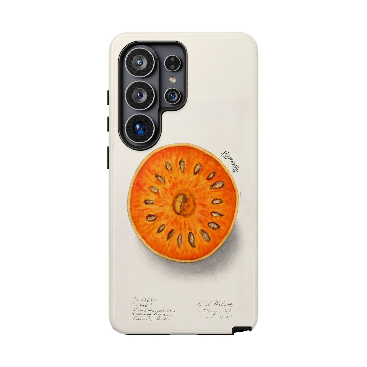 Bael Botanical | Phone Case