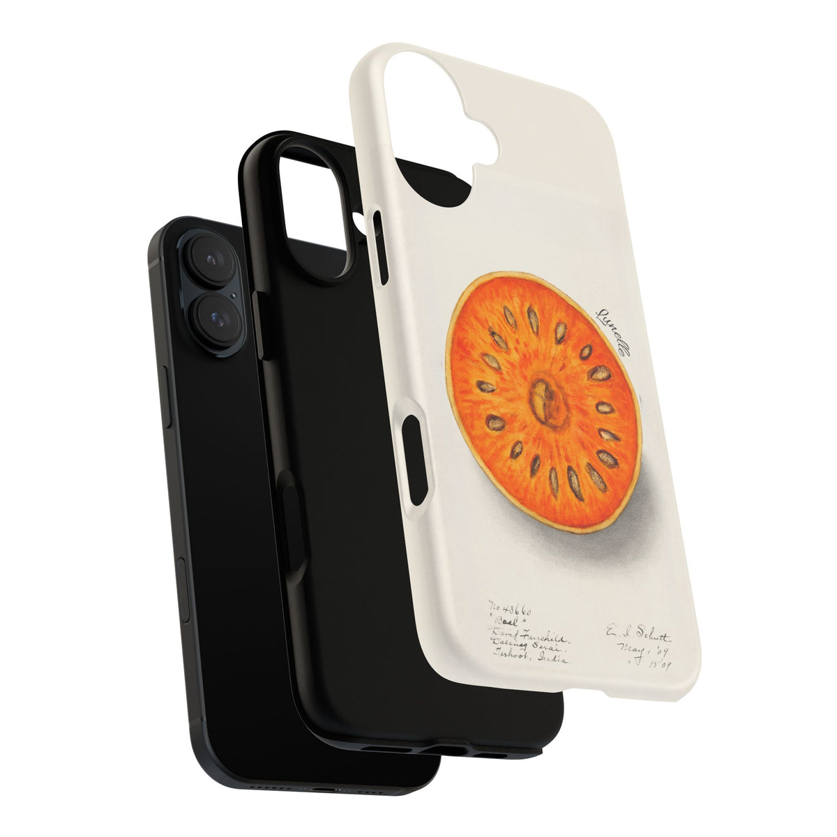 Bael Botanical | Phone Case