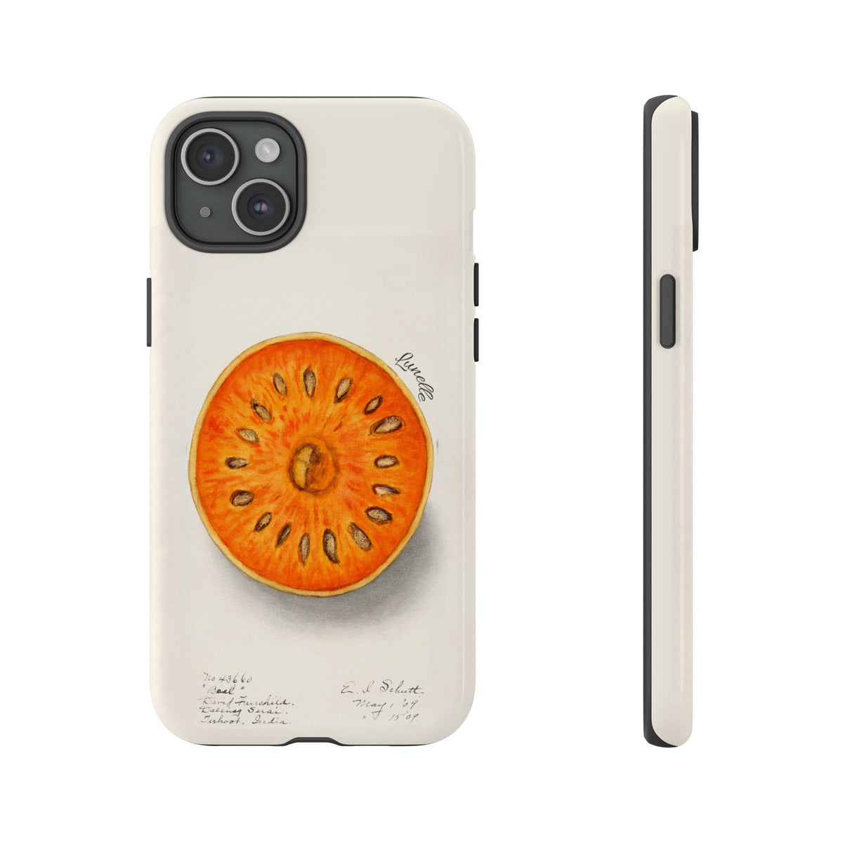 Bael Botanical | Phone Case