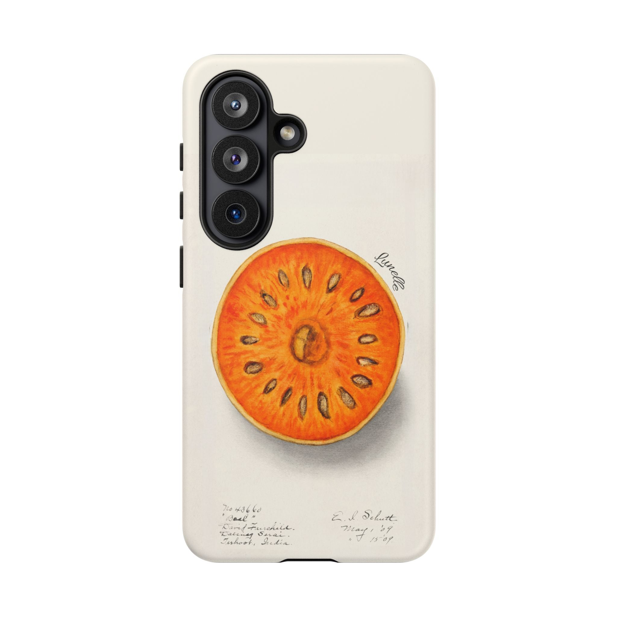 Vintage Botanical Orange Slice Tough Phone Case