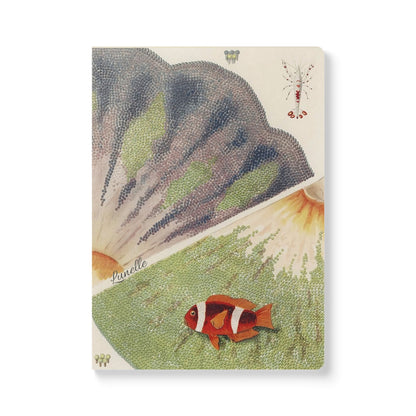 Treasures of the Tide | Journal