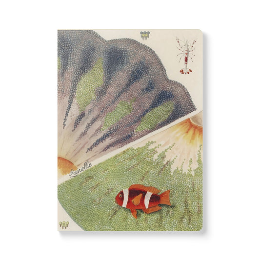 Treasures of the Tide | Journal