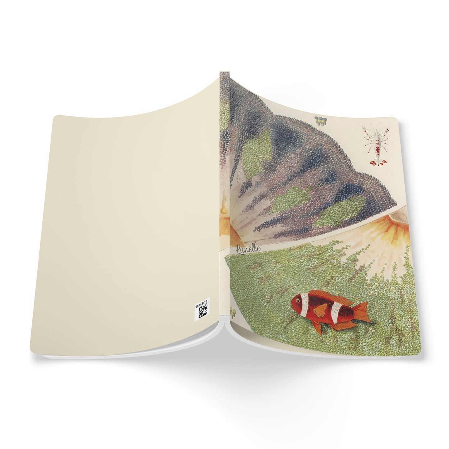 Treasures of the Tide | Journal